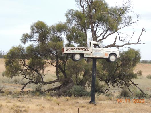 Auto auf Baum